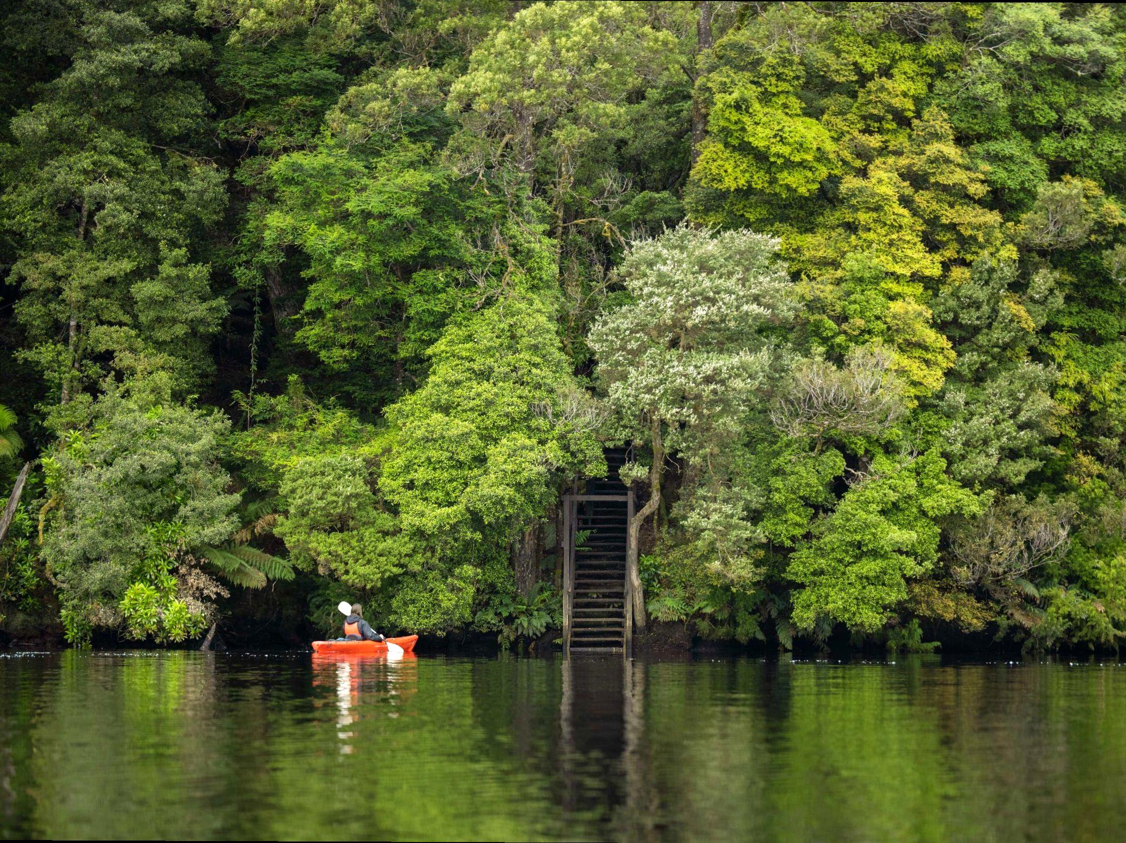 Tasmania: A Sanctuary for Nature Enthusiasts