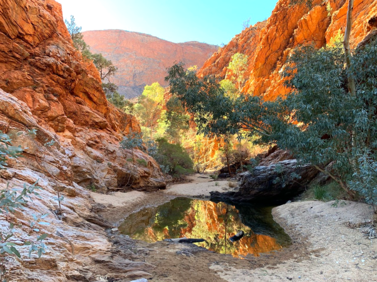 Hiking the Larapinta Trail: A Journey through the Heart of Australia