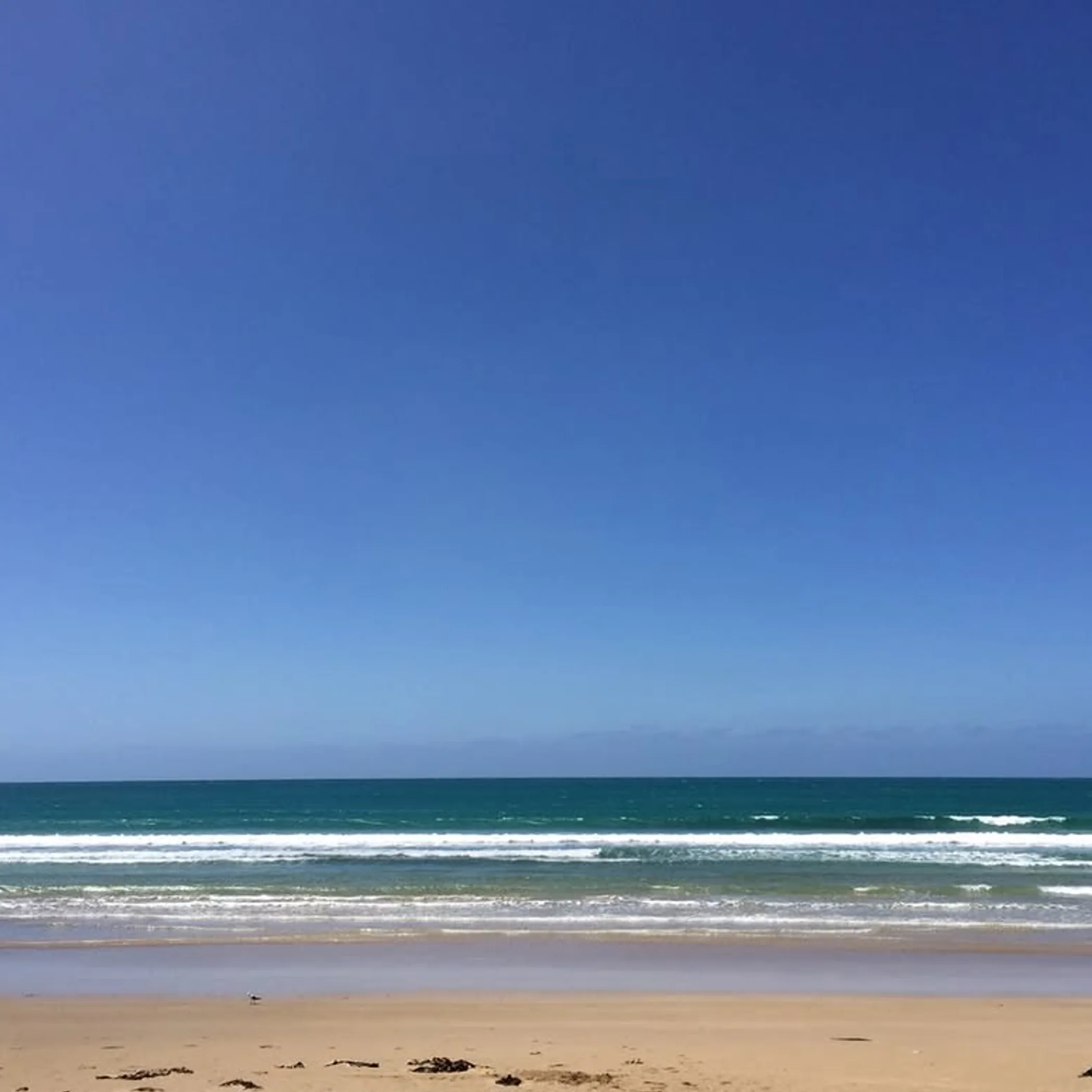 campervan parked near apollo bay beach