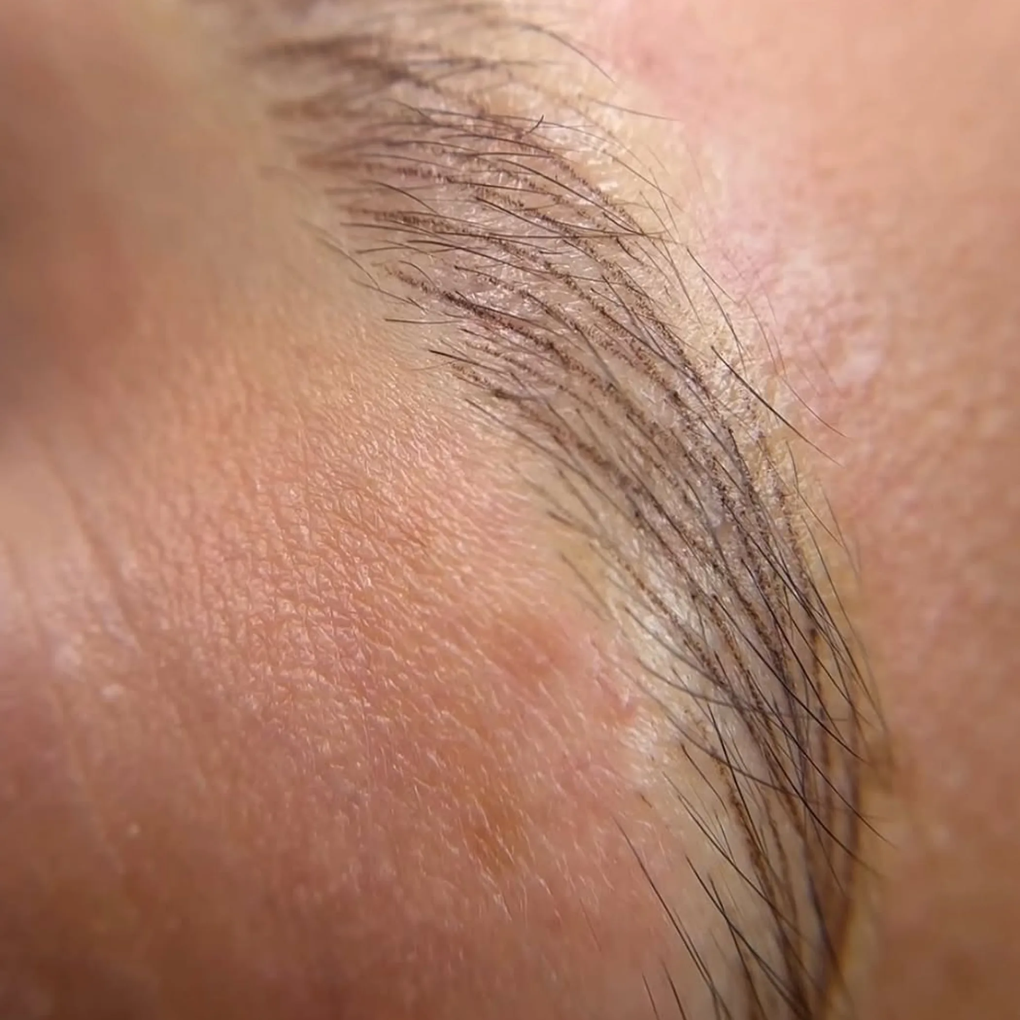 close-up of eyebrow with permanent makeup