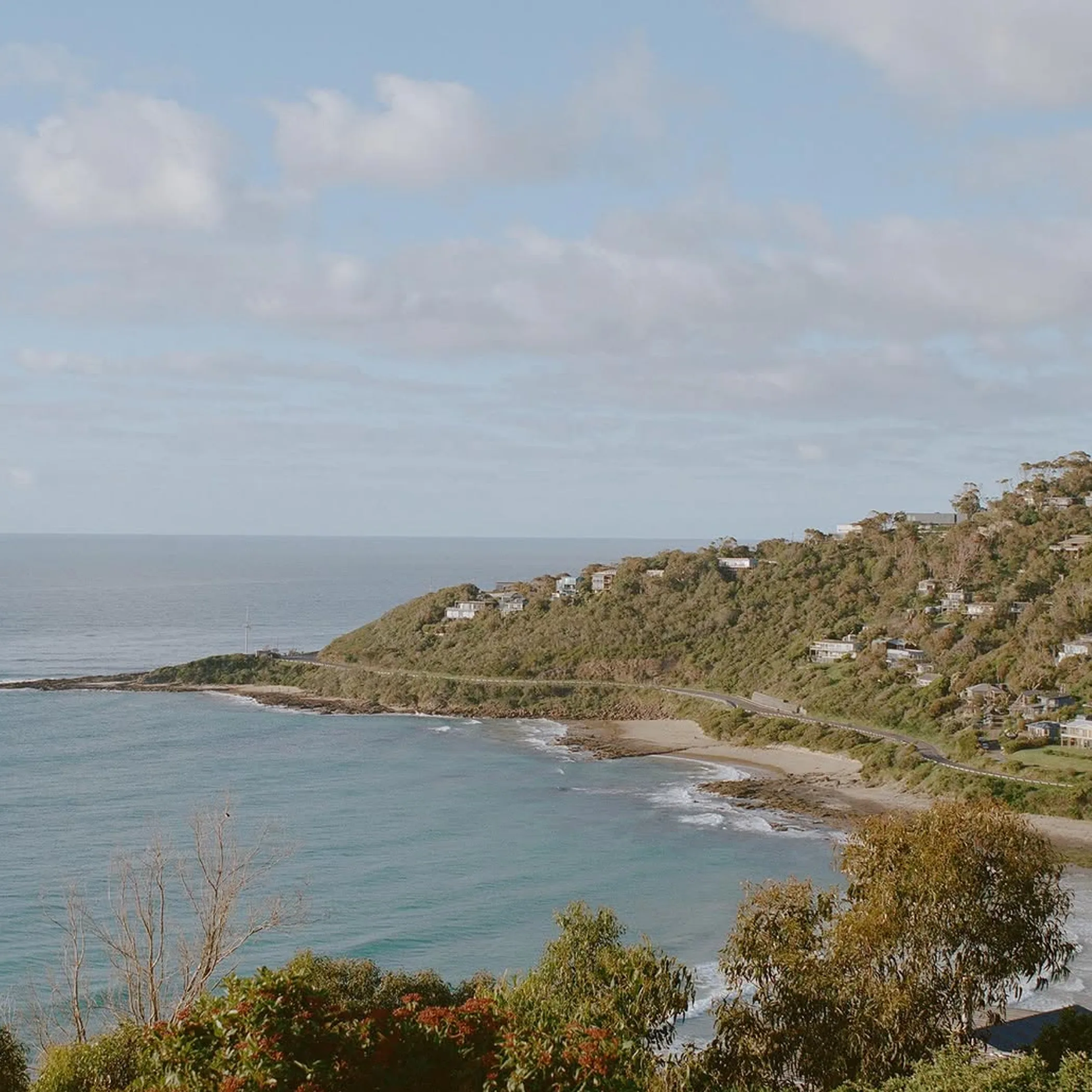 whale watching from great ocean road cliffs