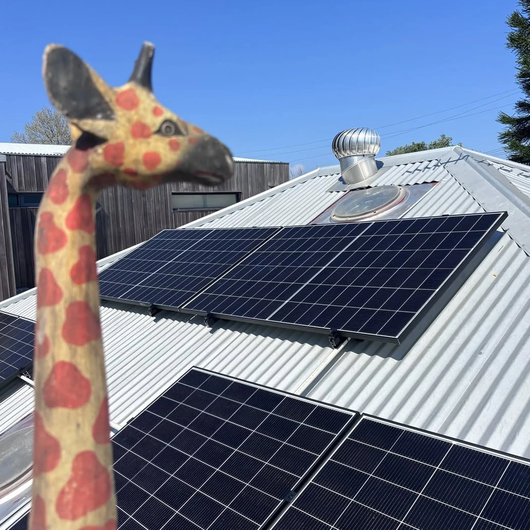 rooftop solar panels ensolarated