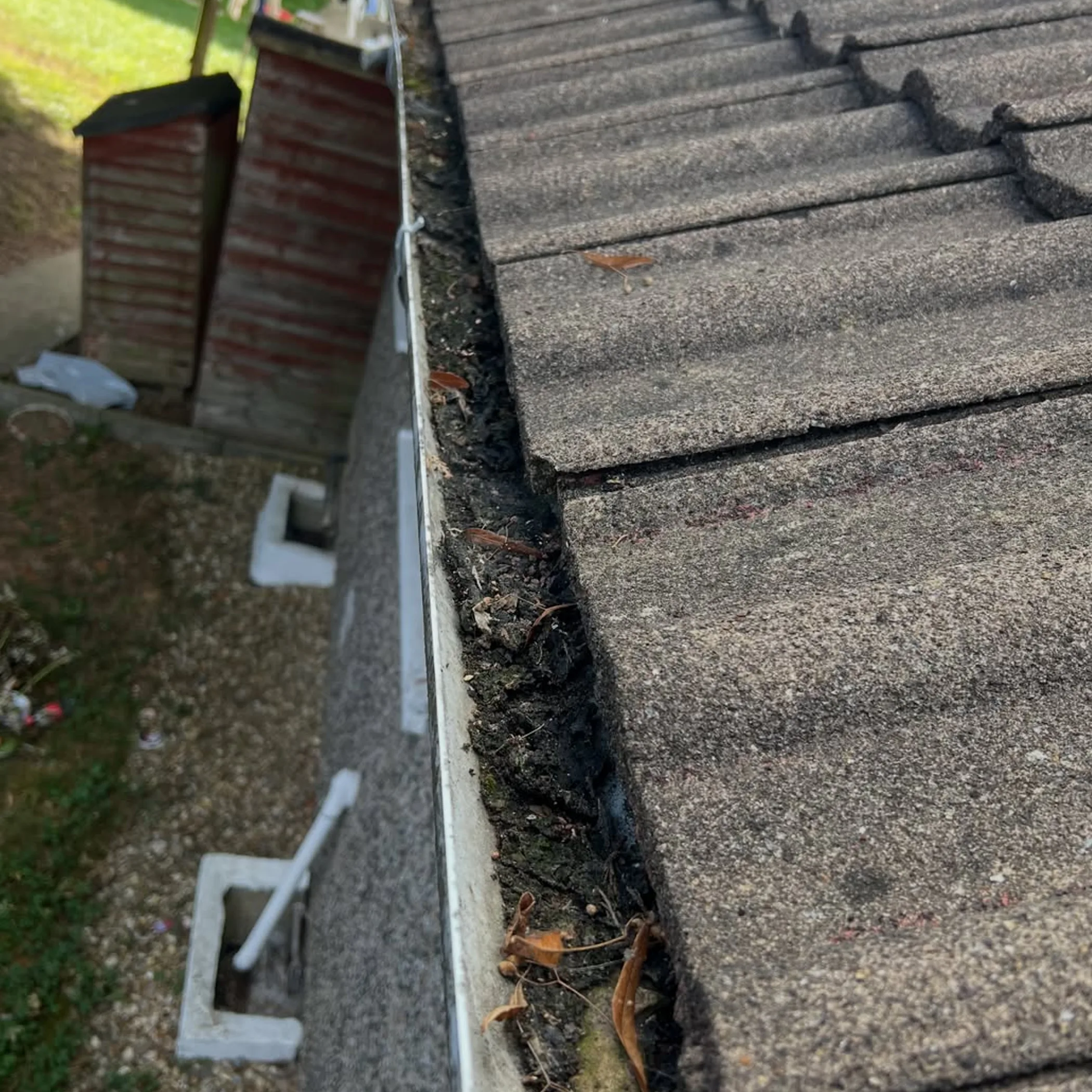 gutter needing cleaning